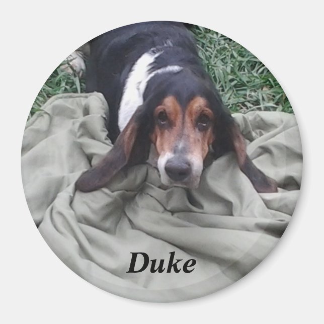 Duke Pet Magnet (Front)