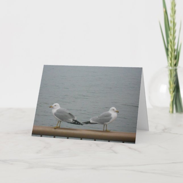 "Duluth Seagulls" Thank You Card (Front)