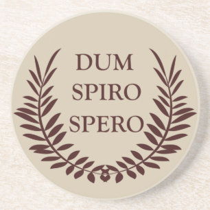 Dum spiro spero coaster
