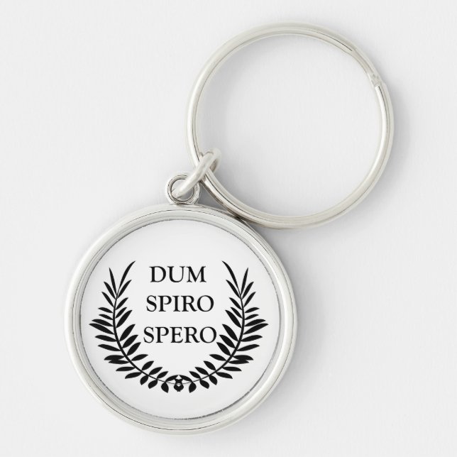 dum spiro spero, latin phrase keychain (Front)