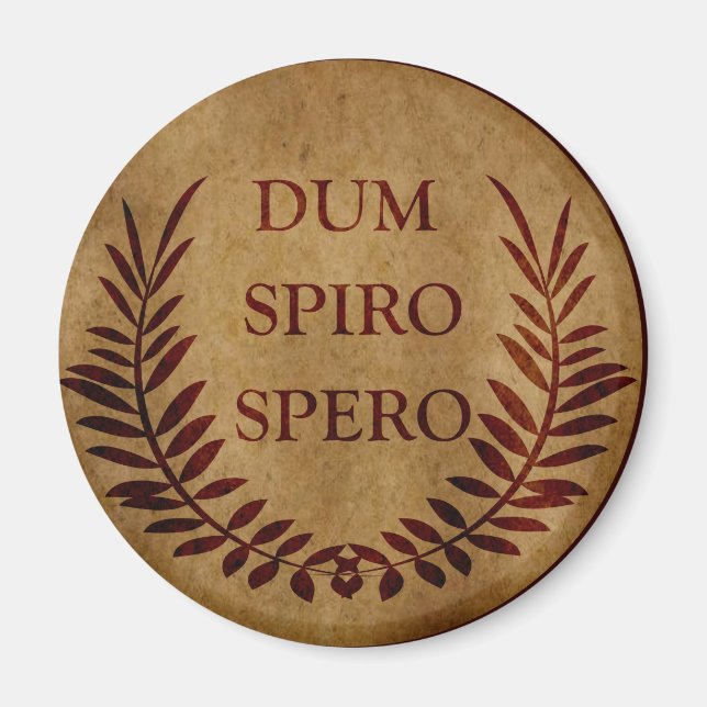 dum spiro spero, latin phrase magnet (Front)