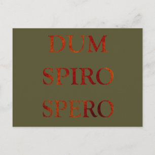 Dum spiro spero postcard