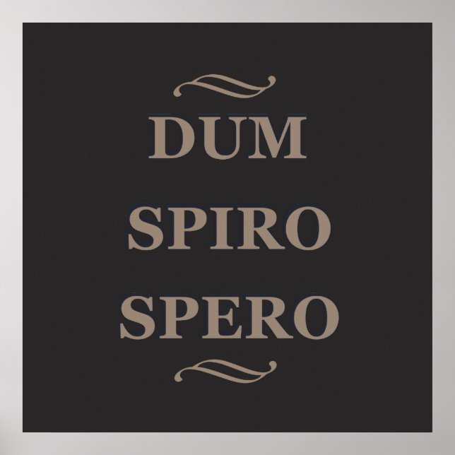 Dum spiro spero poster (Front)