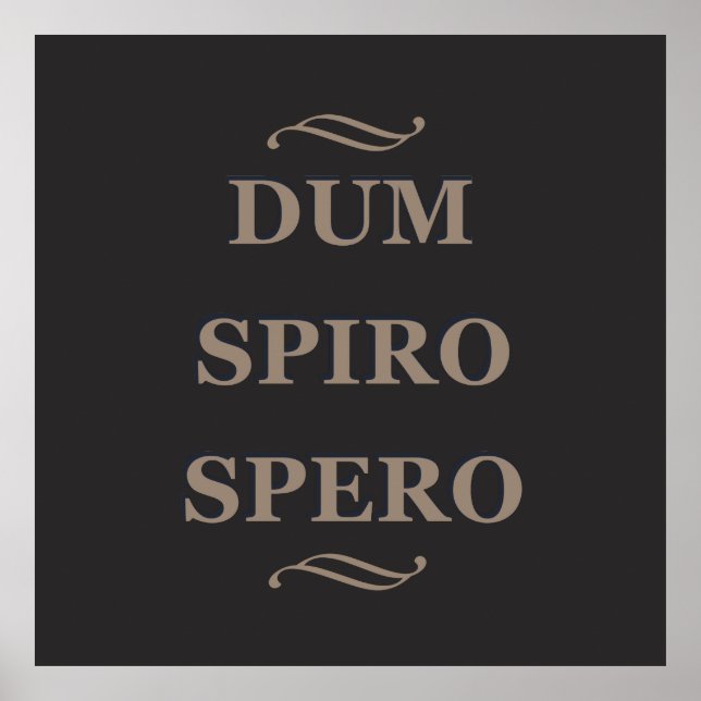 Dum spiro spero poster (Front)