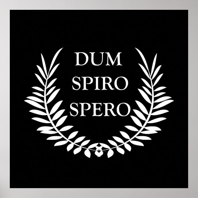 Dum spiro spero poster (Front)