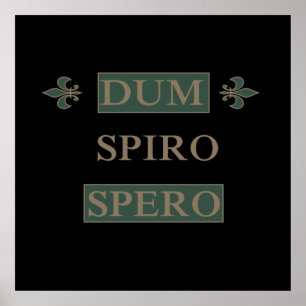 dum spiro spero poster