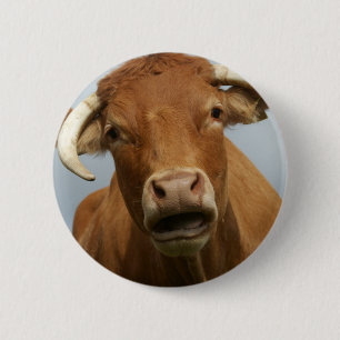 dumb 2 inch round button