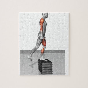 Dumbbell Step Up 4 Jigsaw Puzzle