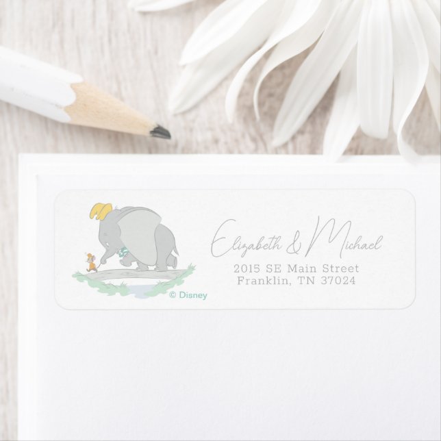 Dumbo and Timothy Q. Baby Shower (Insitu)