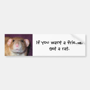 Dumbo Rat Bumper Sticker