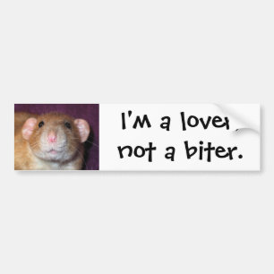 Dumbo Rat Bumper Sticker