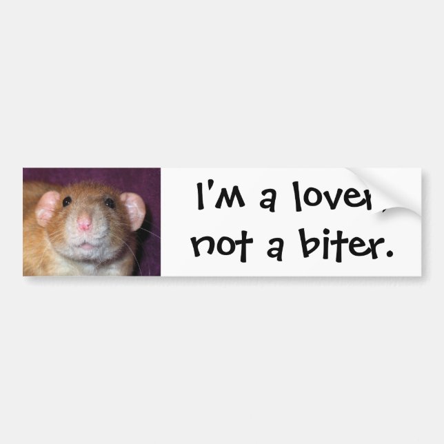 Dumbo Rat Bumper Sticker (Front)