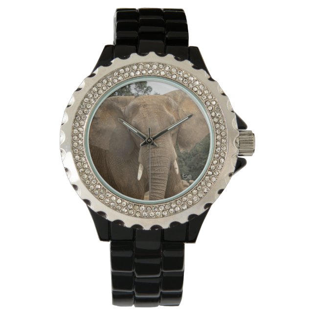 Dumbo Watch (Front)