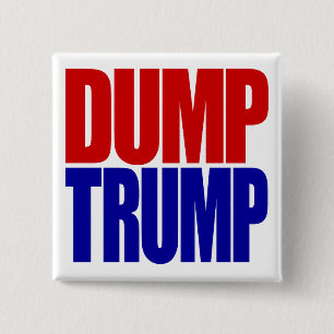“DUMP TRUMP” 2 INCH SQUARE BUTTON