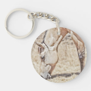 Dun Horse - Circle (single-sided) Keychain