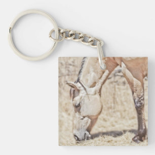 Dun Horse - Square (single-sided) Keychain
