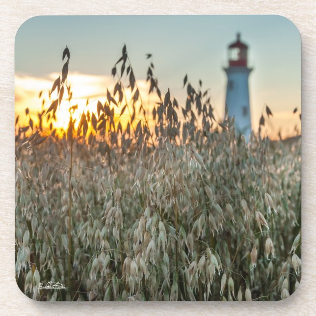 d'un phare dans un champs coaster (Front)