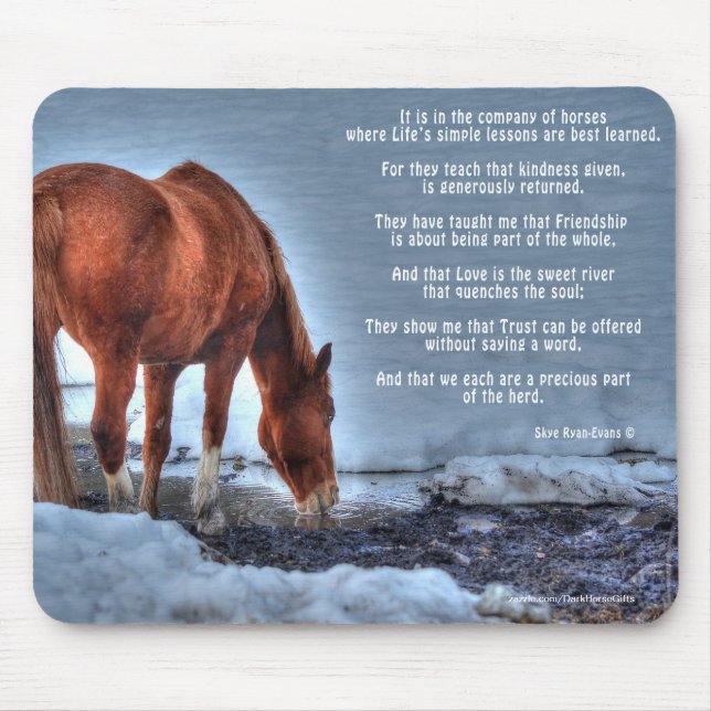 Dun Ranch Horse Drinking at Pool Equine Photo Mouse Pad (Front)