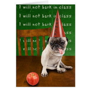 dunce