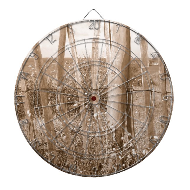 dune dartboard (Front)