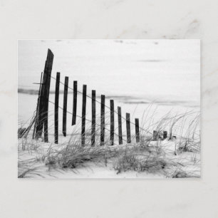 Dune Fence in Snow Postcard