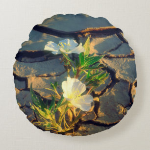 Dune Primrose growing out of Cracked Mud Round Pillow