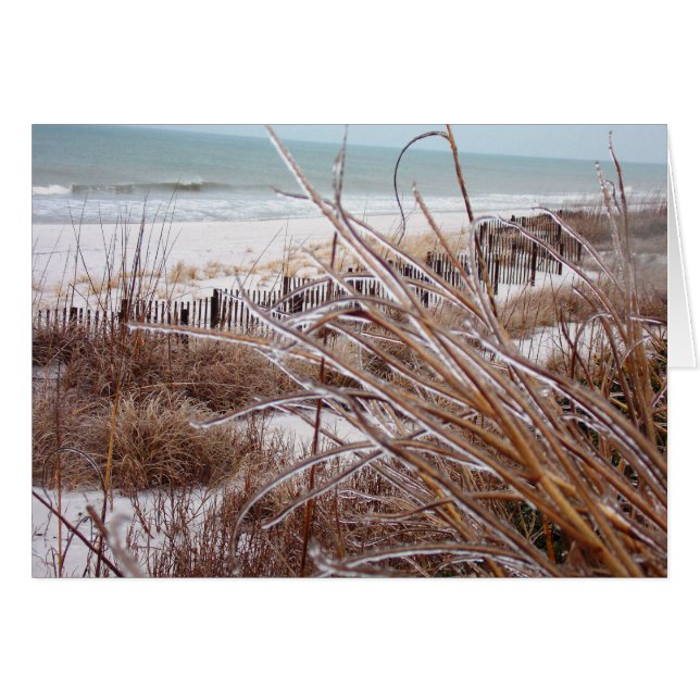 Dune-sicle (Front Horizontal)