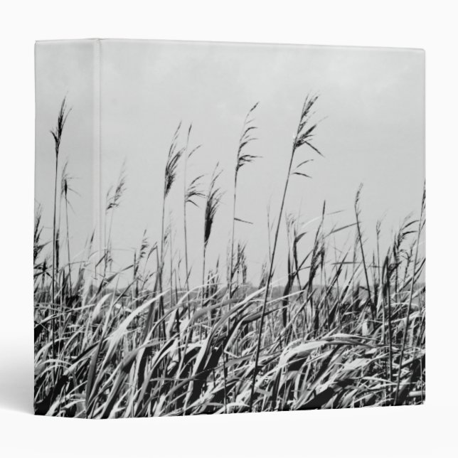 Dune Triptych III Binder (Front/Spine)