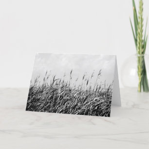 Dune Triptych III Card