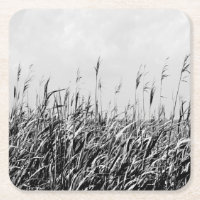 Dune Triptych III
