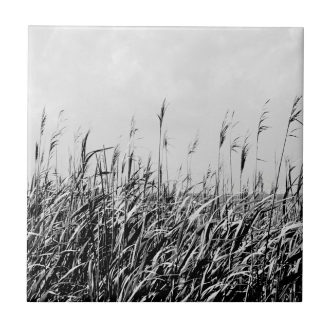 Dune Triptych III Tile (Front)