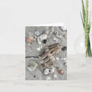 Dunedin Beach Florida Note Card