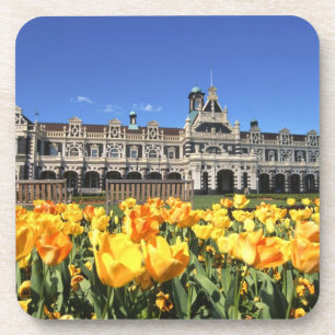 Dunedin Railway Station Coaster