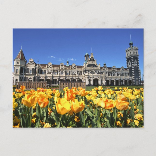 Dunedin Railway Station Postcard (Front)