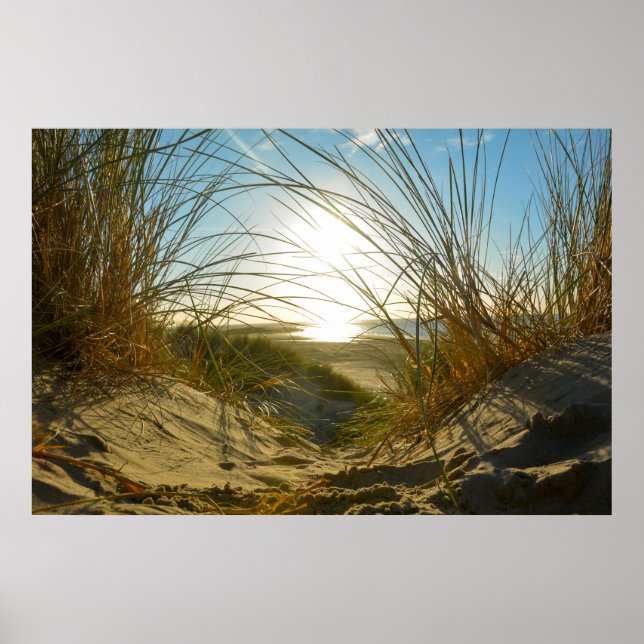 Dünengras und Meer  - Poster (Front)