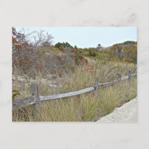 Dunes and Fence Island Beach State Park Postcard