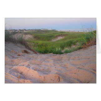 Dunes dans Montauk