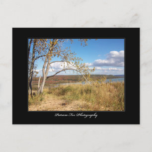 Dunes de sable de l'ours couché 1 - Carte postale