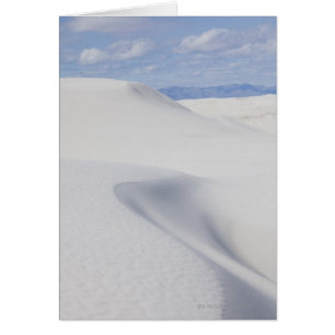Dunes de sable du désert