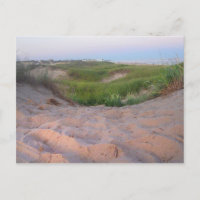 Dunes in Montauk