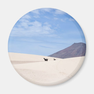 Dunes of Corralejo, Fuerteventura, Canary islands Magnet