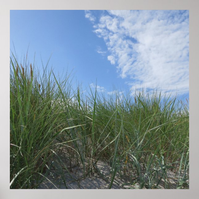 dunes, poster de sable (Devant)