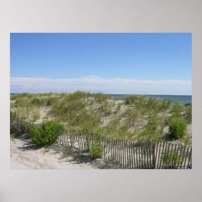 Dunes Print (Front)