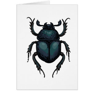 Dung beetle