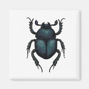 Dung beetle magnet