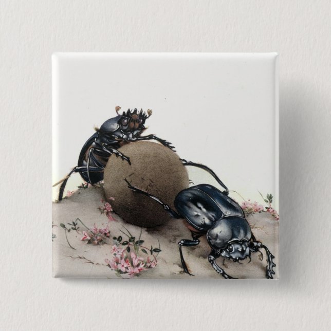 Dung Bettle 2 Inch Square Button (Front)