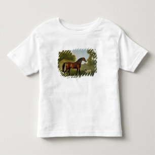 Dungannon, the property of Colonel O'Kelly Toddler T-shirt