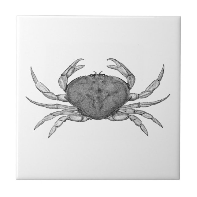 Dungeness Crab Logo (line art) Tile (Front)