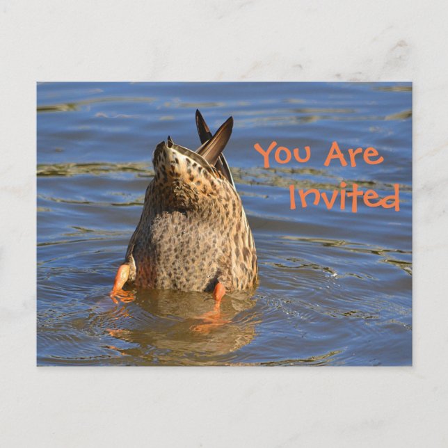 Dunking Duck Invitation Postcard (Front)