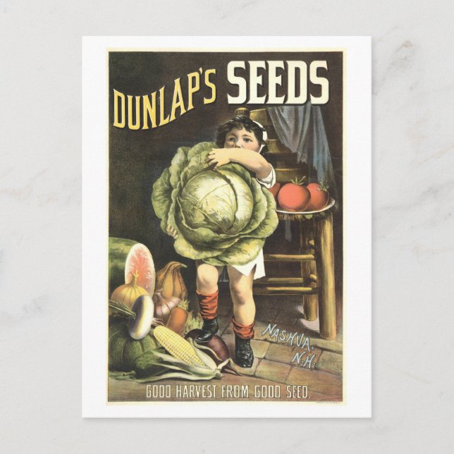 Dunlap's Vintage Vegetable Seed Advertisement Postcard (Front)